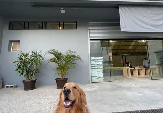 Fachada - foto